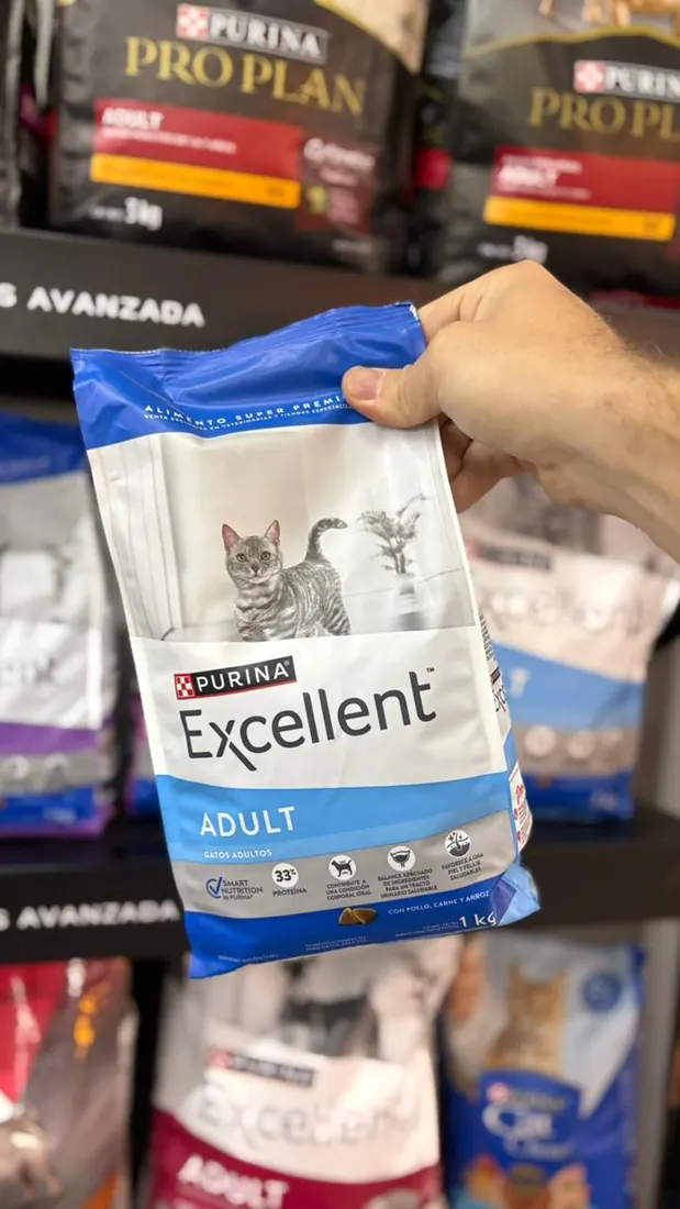 Excellent Adult