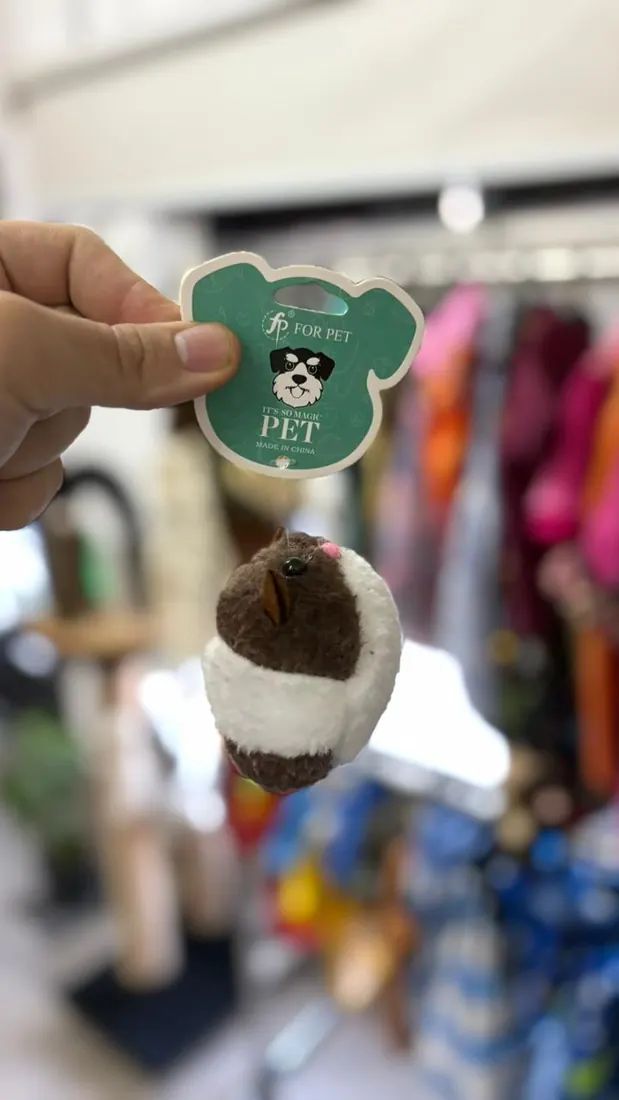 Juguete de peluche con sonido