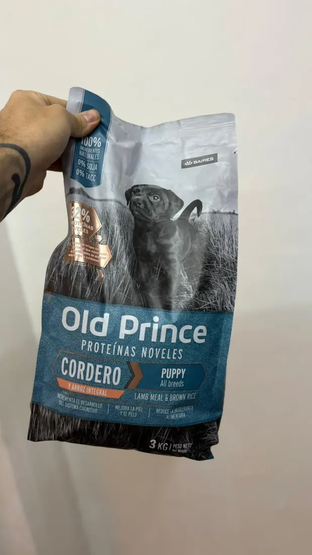 Old Prince Puppy
