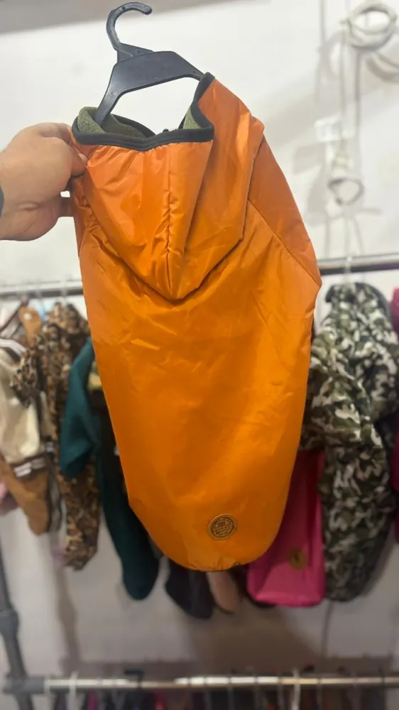 Pilotos para perros