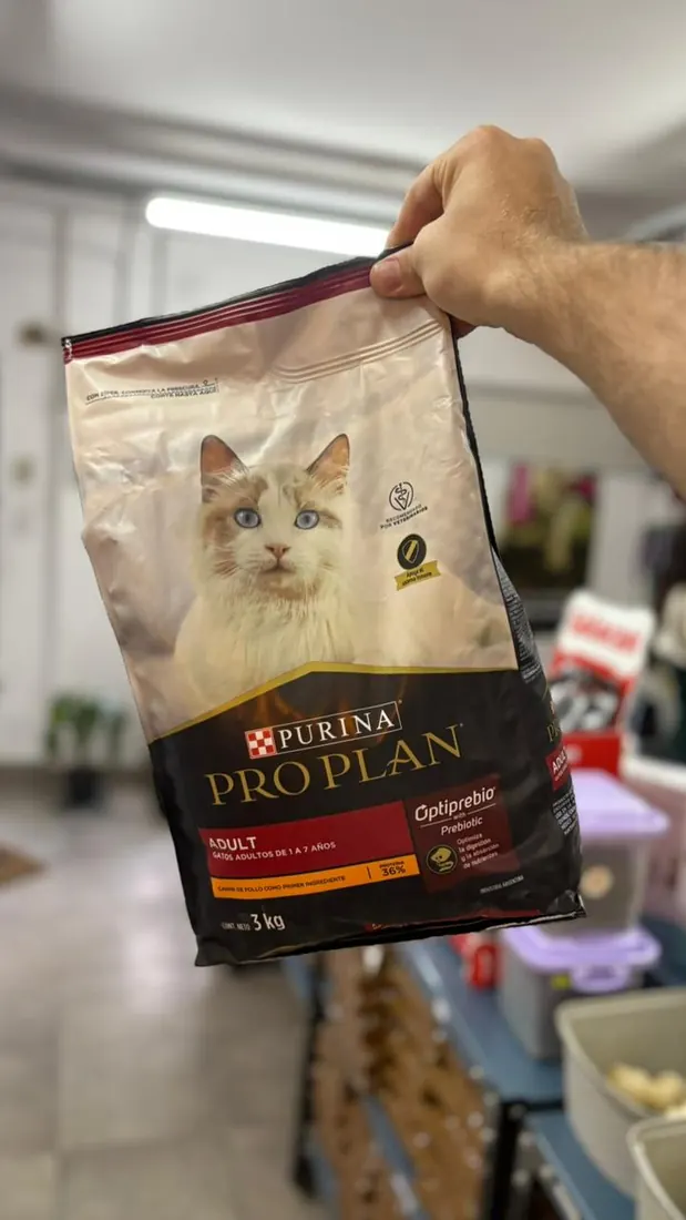 Pro Plan Adult gatos