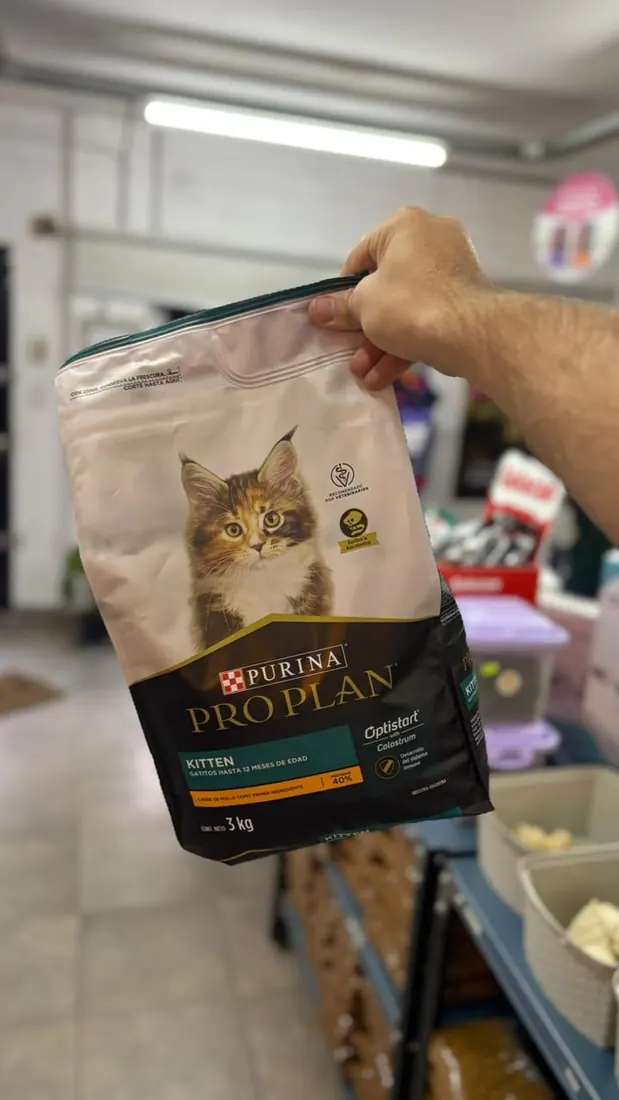 Pro Plan Kitten