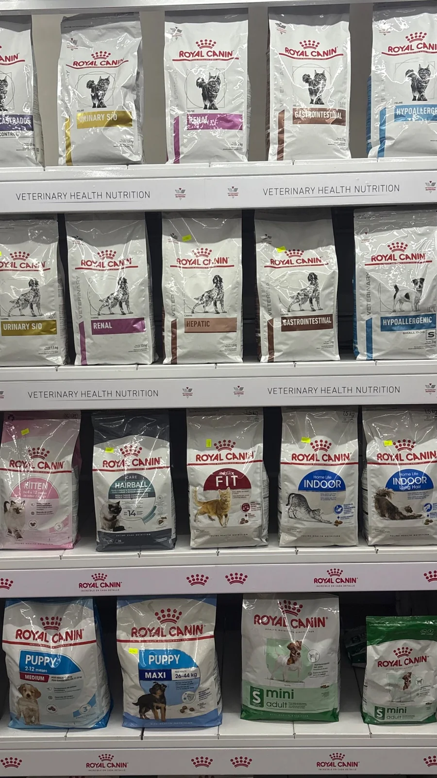 Variedad de alimentos Royal Canin en Patitas